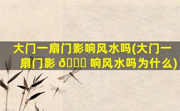 大门一扇门影响风水吗(大门一扇门影 🐈 响风水吗为什么)